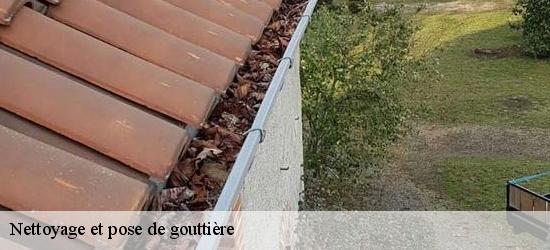 Nettoyage et pose de gouttière  11240