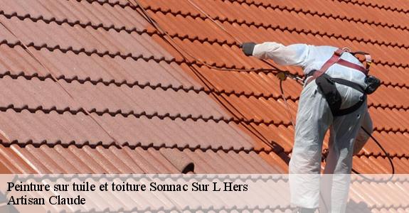 Peinture sur tuile et toiture  sonnac-sur-l-hers-11230 Artisan Claude